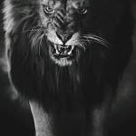 أنور العبادي Profile Picture