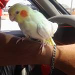 Ahmad Al. Kazalha Profile Picture